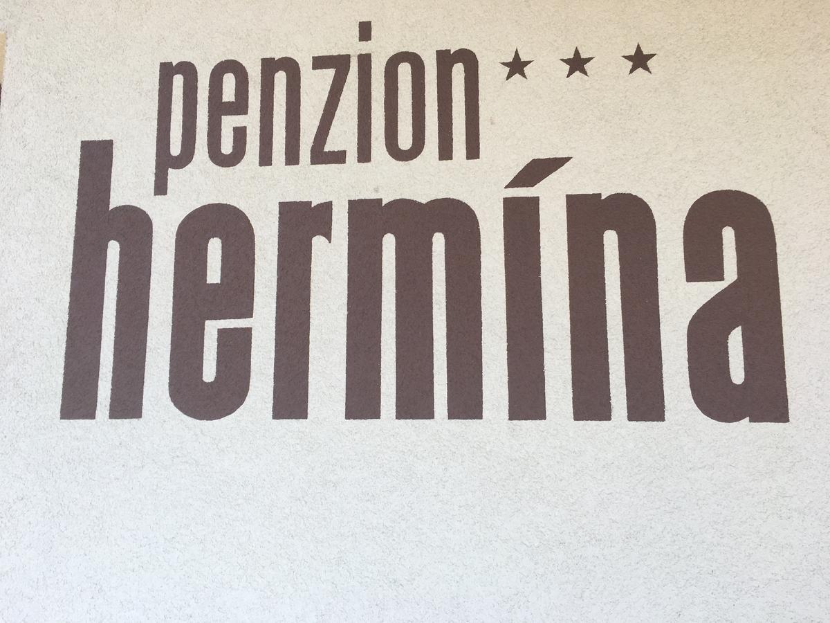 Penzion Hermina Veseli nad Moravou Exterior photo